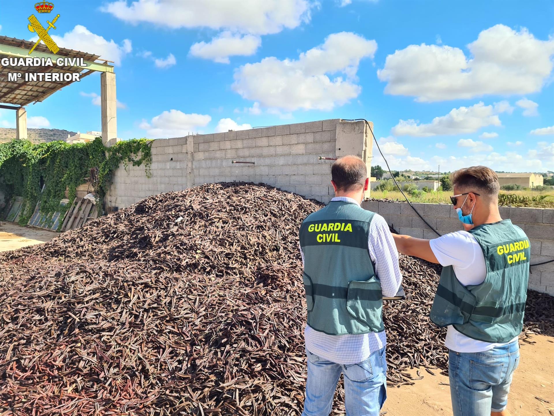 Seis Detenidos Por Venta Il Cita De Algarrobas En La Ribera Alta