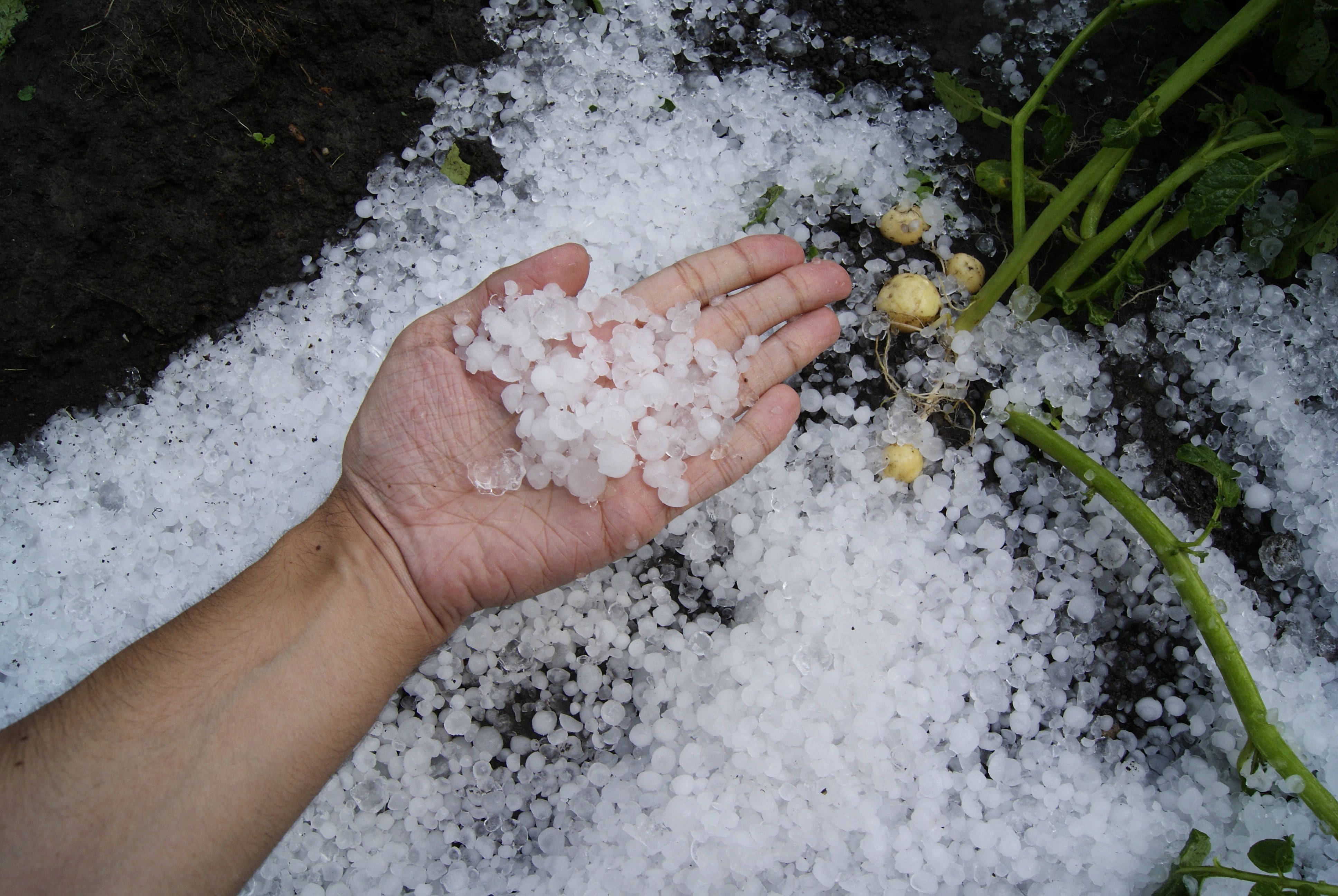 Alerta Por Tormentas Con Granizo En Gran Parte De La Comunitat Hasta