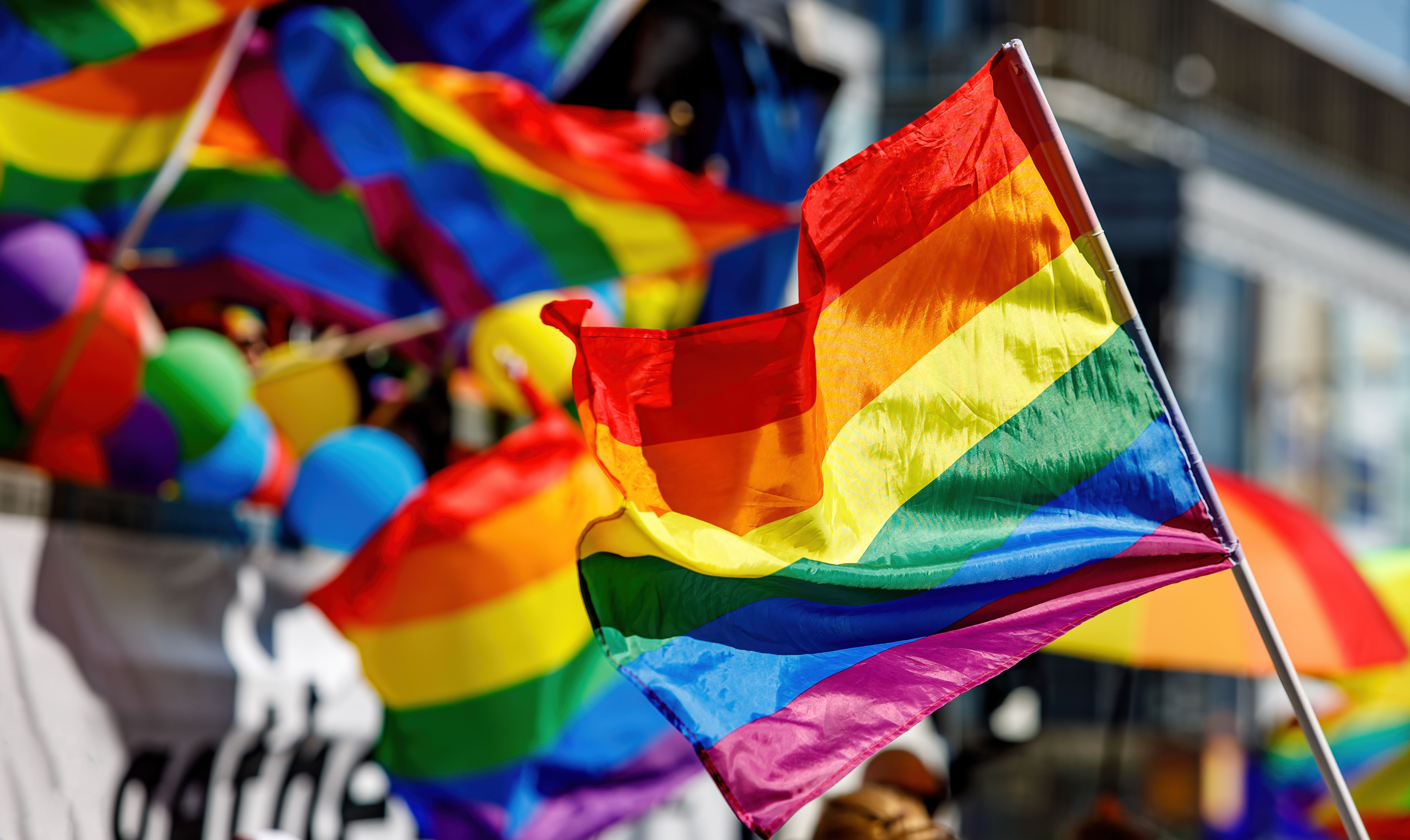 Fiesta Del Orgullo Val Ncia Programa De Actuaciones Fecha Y Horario