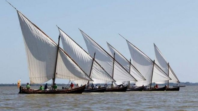 Exhibiciones de vela latina en la Albufera de València