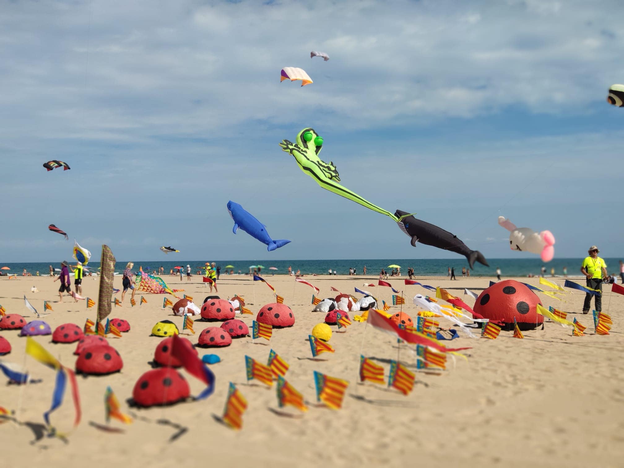 El gran Festival de Cometas de València regresa a la playa del Cabanyal