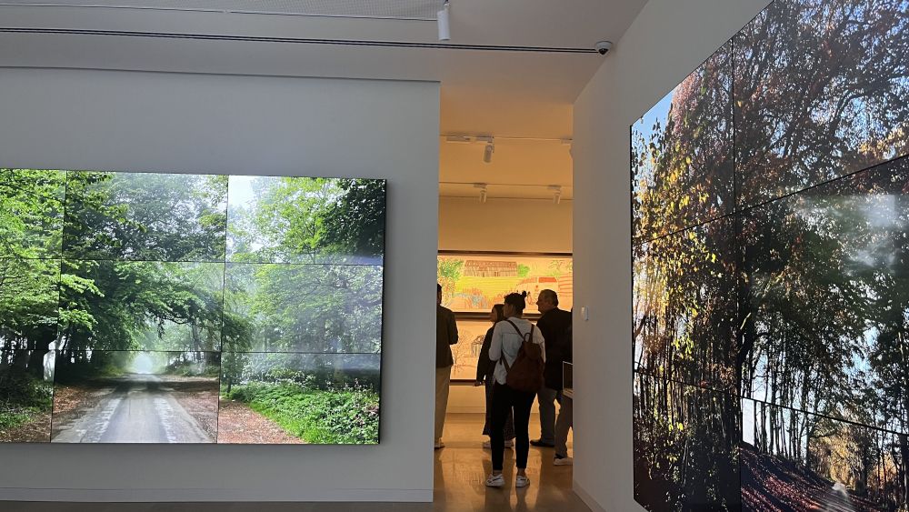 Centro de Arte Hortensia Herrero de València 