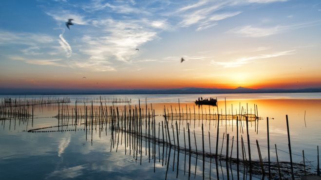 L'Albufera de València