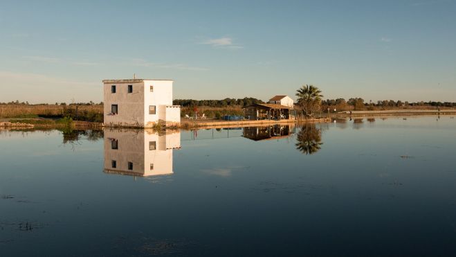 L'Albufera de València. Foto Gustavo Muñoz Soriano