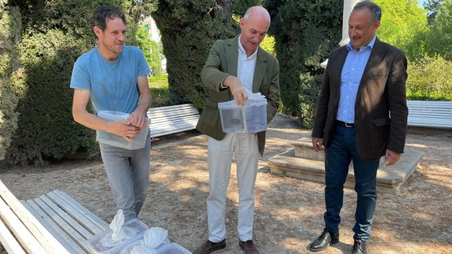 Solta d'exemplars de mosquits tigre als Jardins de Vivers de València