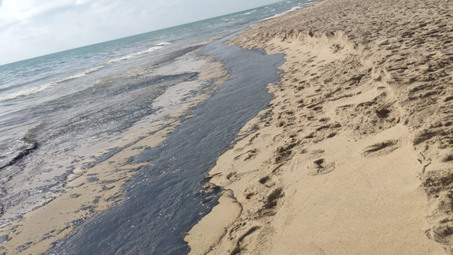 Vertido de hidrocarburo en la playa de El Saler. Imagen: @AavvSaler