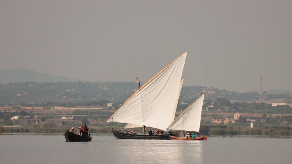 Exhibició de Vela Llatina a l'Albufera (Ajuntament de Catarroja)