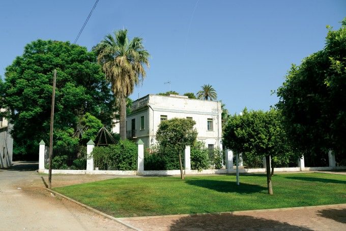 Get Tauler danuncis tema de la platja For iPhone Tauler Danuncis Tema De La Platja