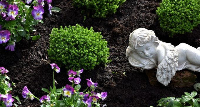 Como Elegir Las Mejores Funerarias Para Un Entierro Digno Valencia Extra