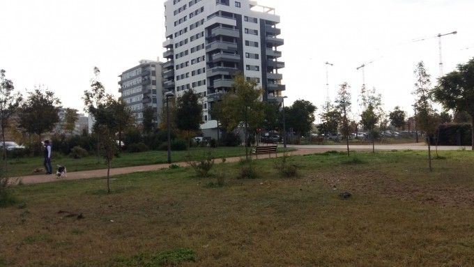 Comienzan las obras de la pérgola para actividades musicales y