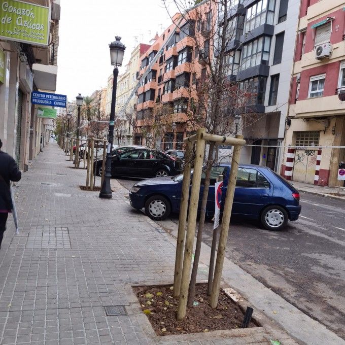 El Ayuntamiento sustituye el arbolado de la calle Pobla de Farnals para